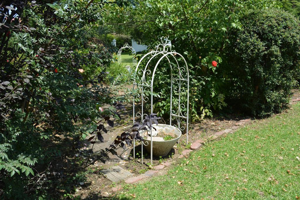 Toad Hall Guest House Wakkerstroom Bagian luar foto