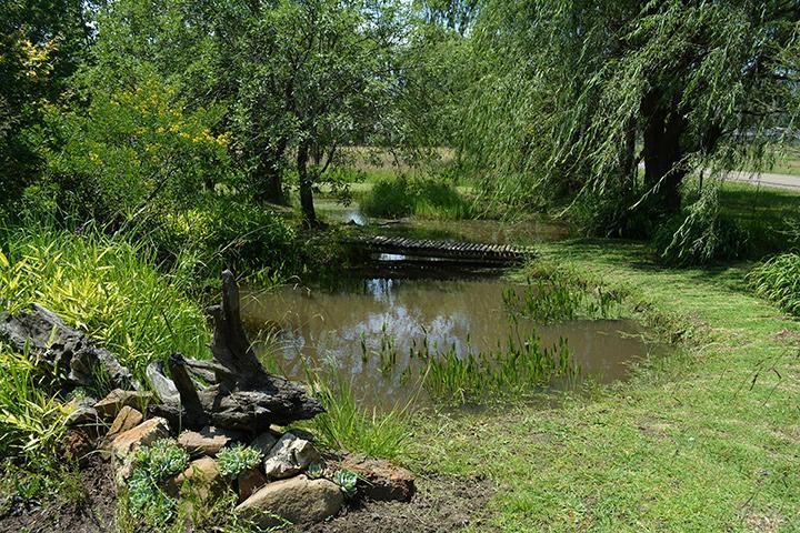 Toad Hall Guest House Wakkerstroom Bagian luar foto